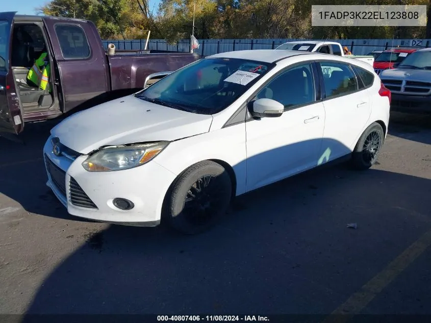 2014 Ford Focus Se VIN: 1FADP3K22EL123808 Lot: 40807406