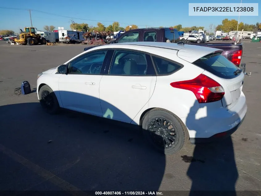 2014 Ford Focus Se VIN: 1FADP3K22EL123808 Lot: 40807406