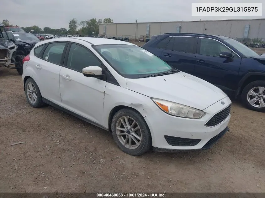 2016 Ford Focus Se VIN: 1FADP3K29GL315875 Lot: 40460058