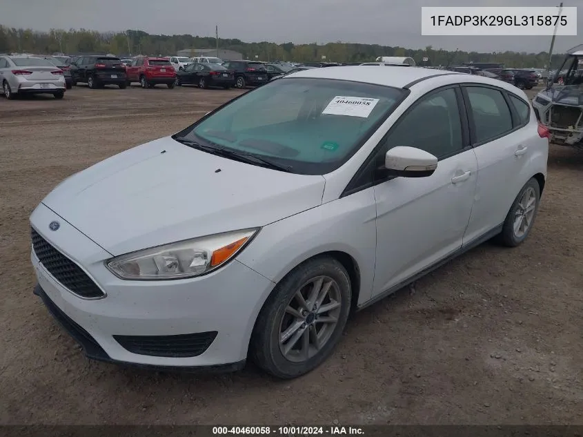 2016 Ford Focus Se VIN: 1FADP3K29GL315875 Lot: 40460058