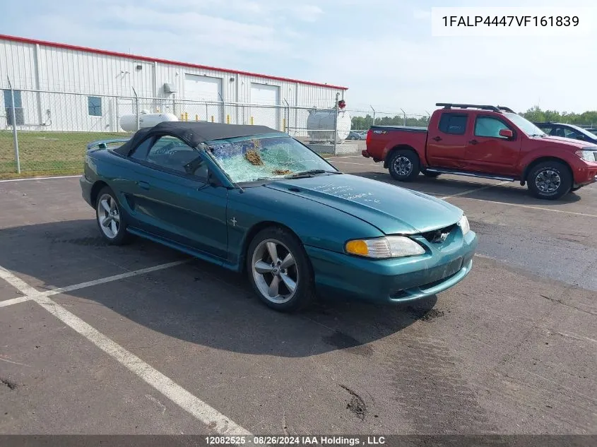 1997 Ford Mustang VIN: 1FALP4447VF161839 Lot: 12082525