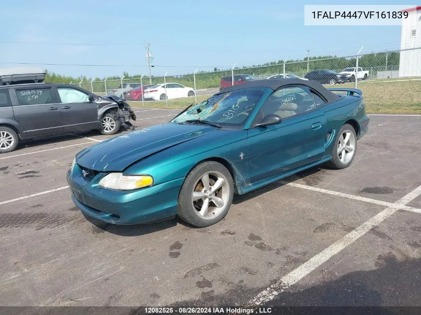 1997 Ford Mustang VIN: 1FALP4447VF161839 Lot: 12082525