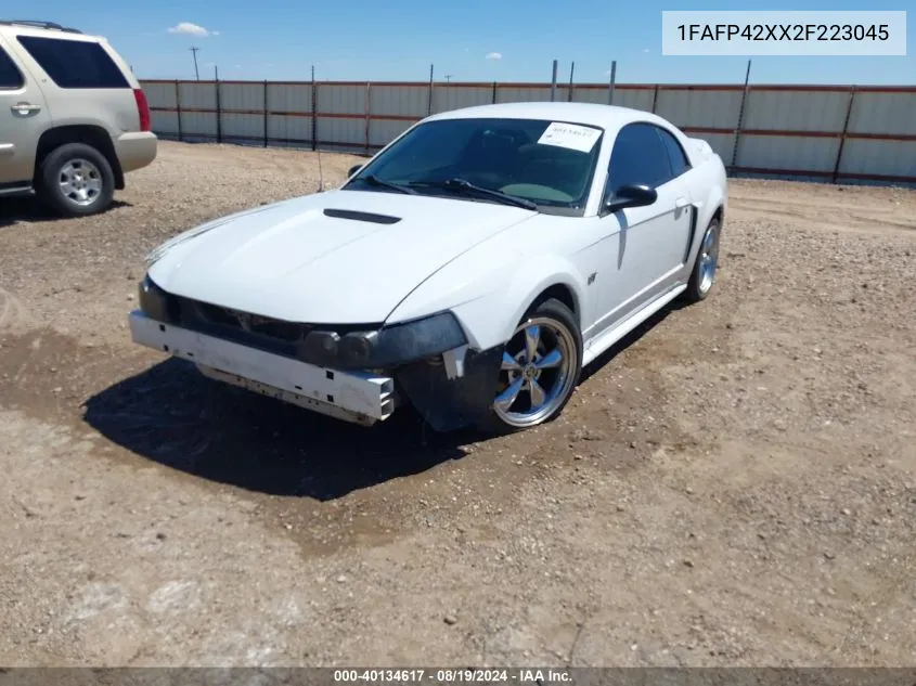 2002 Ford Mustang Gt VIN: 1FAFP42XX2F223045 Lot: 40134617