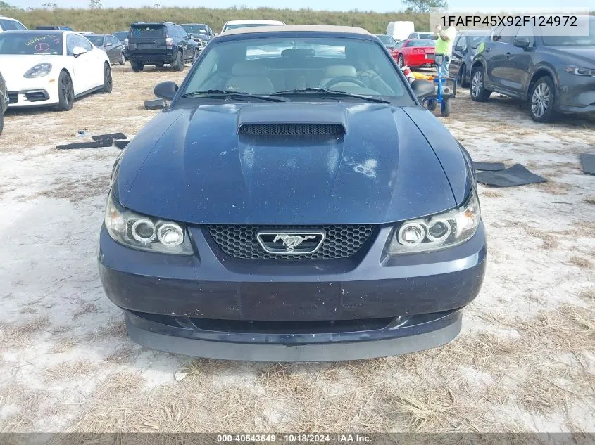 2002 Ford Mustang Gt VIN: 1FAFP45X92F124972 Lot: 40543549