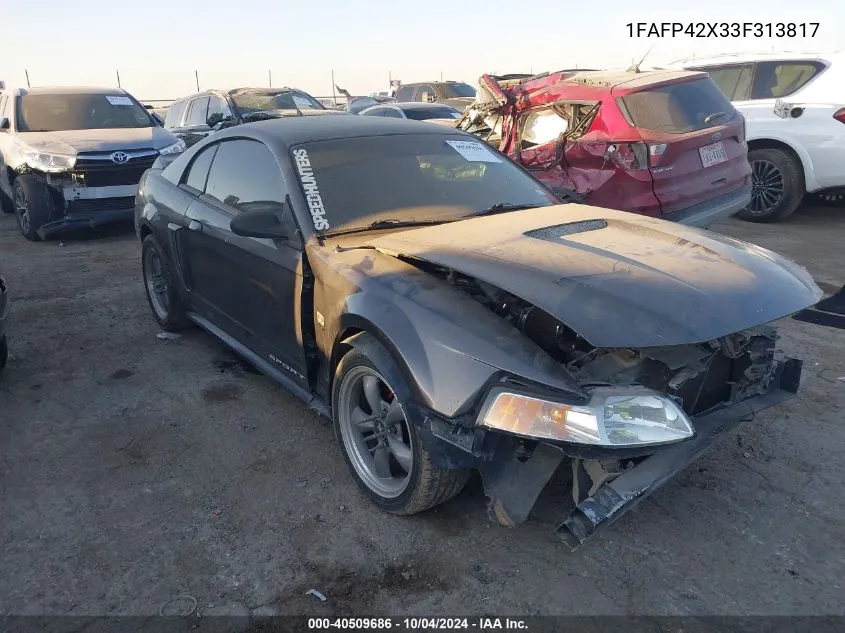 2003 Ford Mustang Gt VIN: 1FAFP42X33F313817 Lot: 40509686