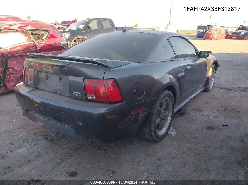 2003 Ford Mustang Gt VIN: 1FAFP42X33F313817 Lot: 40509686