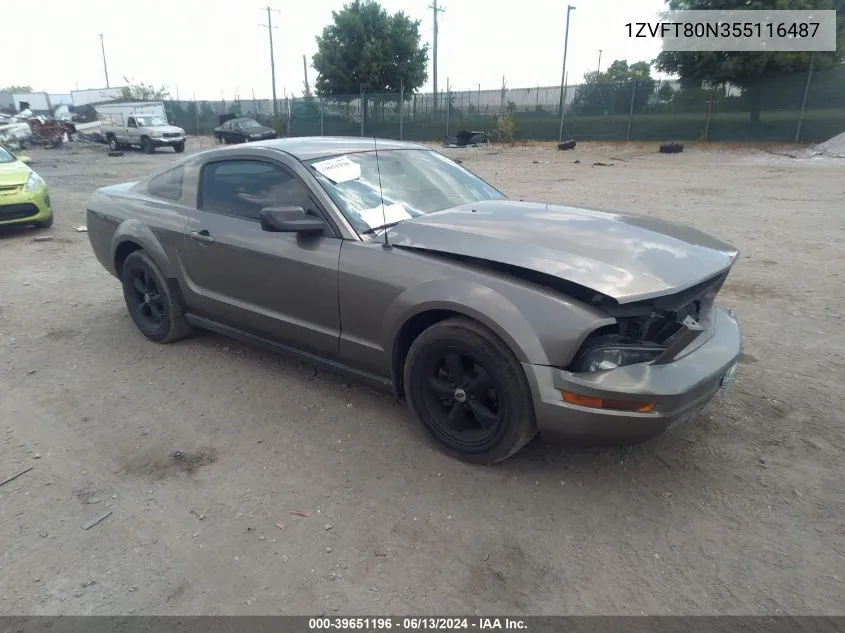 2005 Ford Mustang V6 Deluxe/V6 Premium VIN: 1ZVFT80N355116487 Lot: 39651196