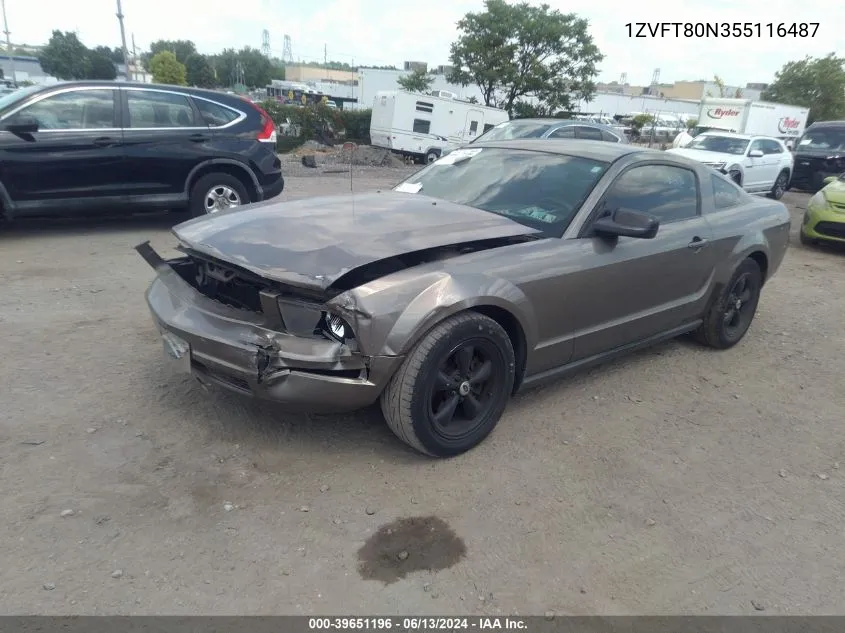 2005 Ford Mustang V6 Deluxe/V6 Premium VIN: 1ZVFT80N355116487 Lot: 39651196