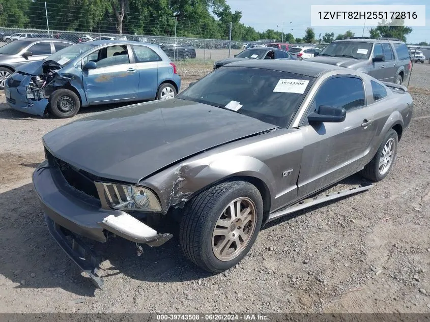 2005 Ford Mustang Gt Deluxe/Gt Premium VIN: 1ZVFT82H255172816 Lot: 39743508