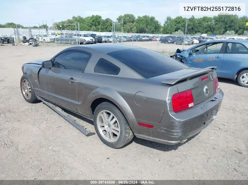 2005 Ford Mustang Gt Deluxe/Gt Premium VIN: 1ZVFT82H255172816 Lot: 39743508