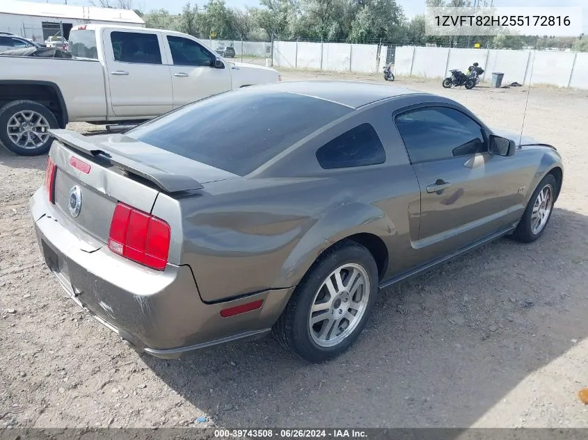 2005 Ford Mustang Gt Deluxe/Gt Premium VIN: 1ZVFT82H255172816 Lot: 39743508