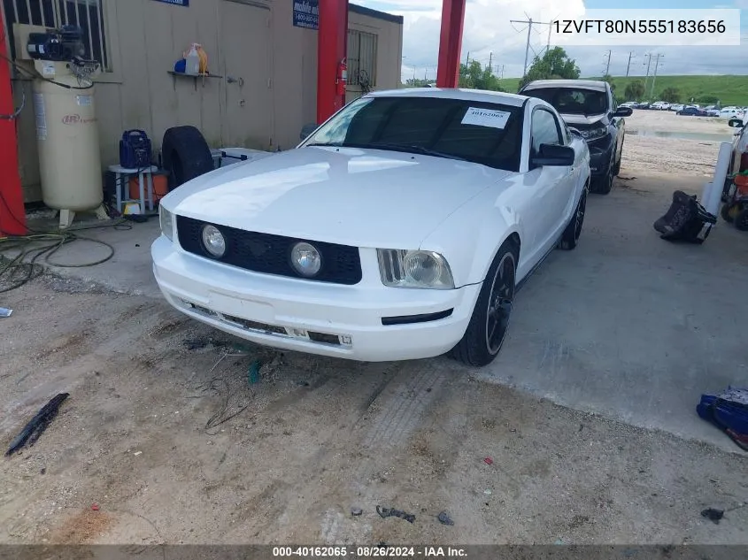 2005 Ford Mustang V6 Deluxe/V6 Premium VIN: 1ZVFT80N555183656 Lot: 40162065