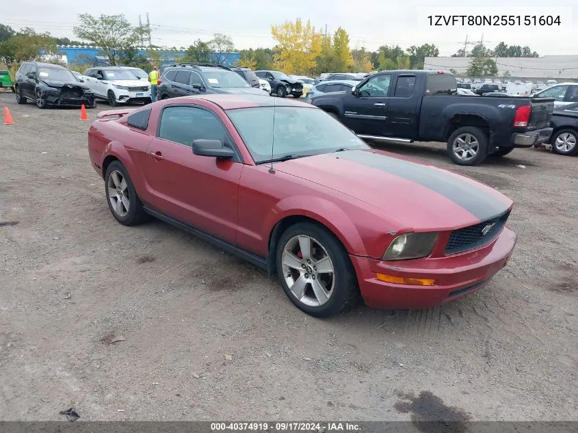 2005 Ford Mustang V6 Deluxe/V6 Premium VIN: 1ZVFT80N255151604 Lot: 40374919