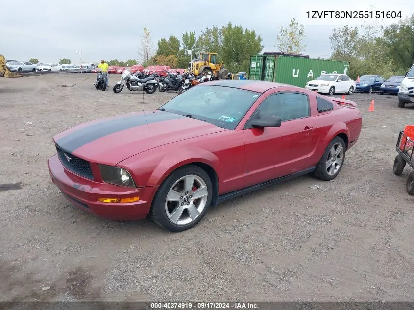 2005 Ford Mustang V6 Deluxe/V6 Premium VIN: 1ZVFT80N255151604 Lot: 40374919