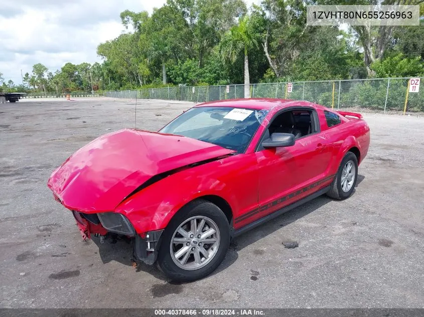 2005 Ford Mustang VIN: 1ZVHT80N655256963 Lot: 40378466