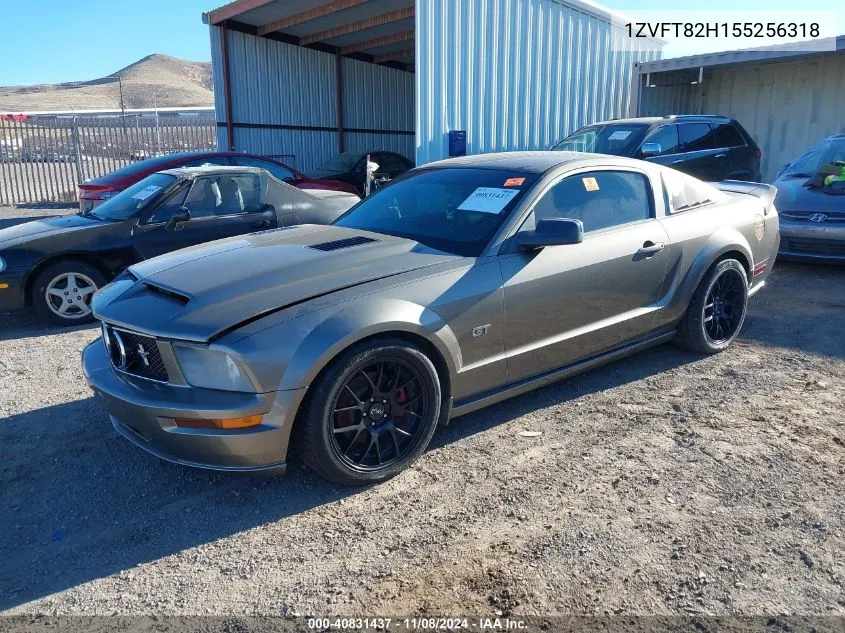 2005 Ford Mustang Gt Deluxe/Gt Premium VIN: 1ZVFT82H155256318 Lot: 40831437