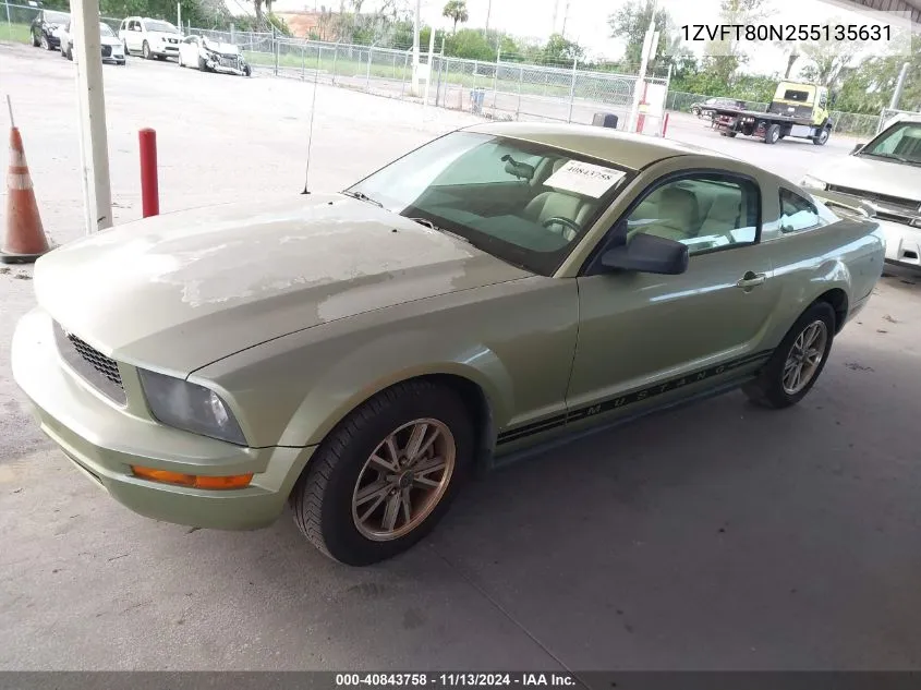 1ZVFT80N255135631 2005 Ford Mustang V6 Deluxe/V6 Premium