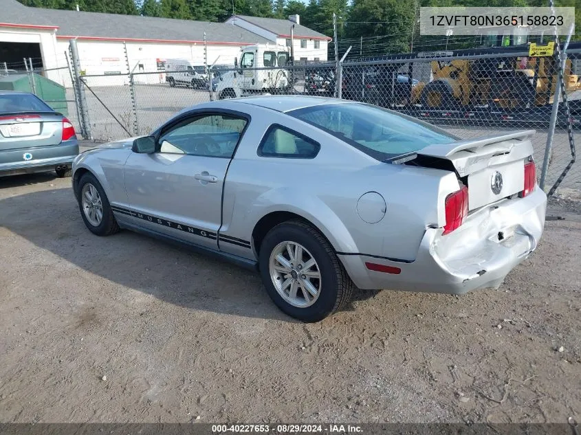 2006 Ford Mustang V6 VIN: 1ZVFT80N365158823 Lot: 40227653