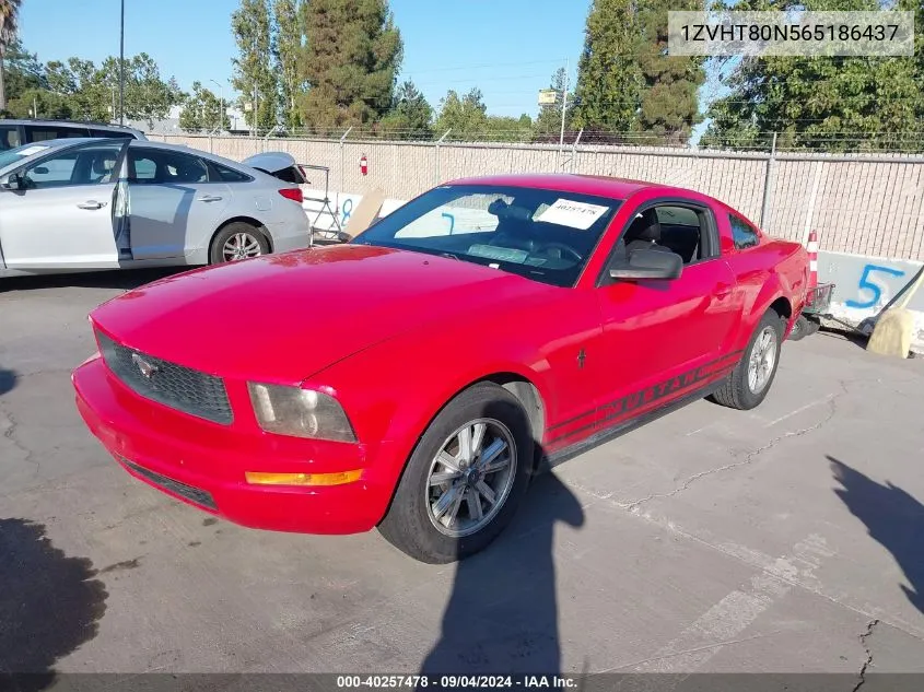 2006 Ford Mustang V6 VIN: 1ZVHT80N565186437 Lot: 40257478