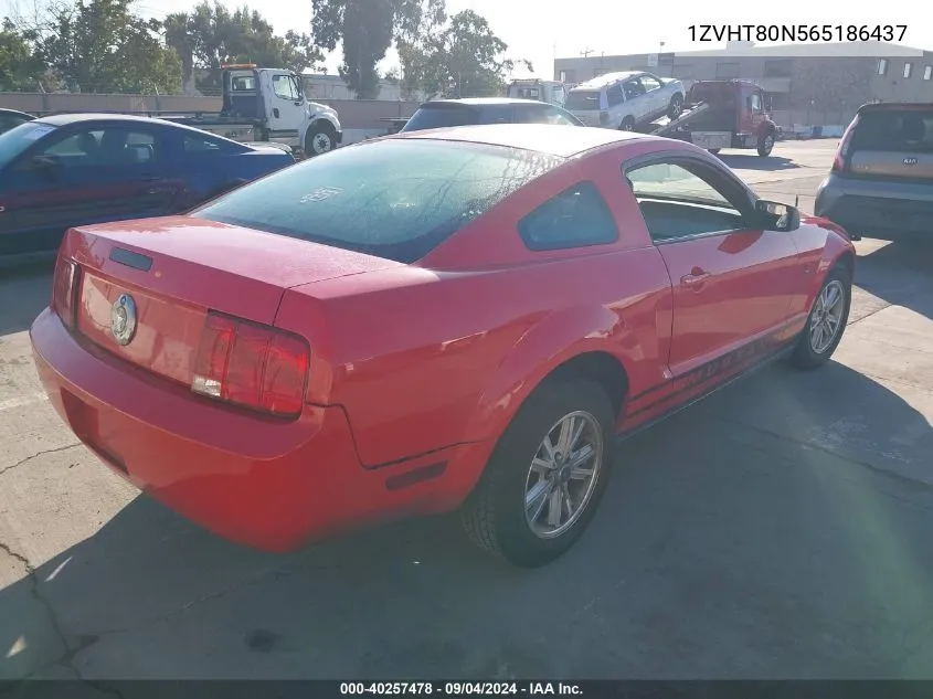 2006 Ford Mustang V6 VIN: 1ZVHT80N565186437 Lot: 40257478