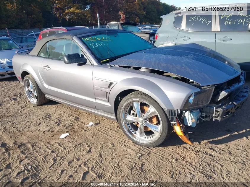 2006 Ford Mustang Gt VIN: 1ZVFT85HX65237960 Lot: 40346211