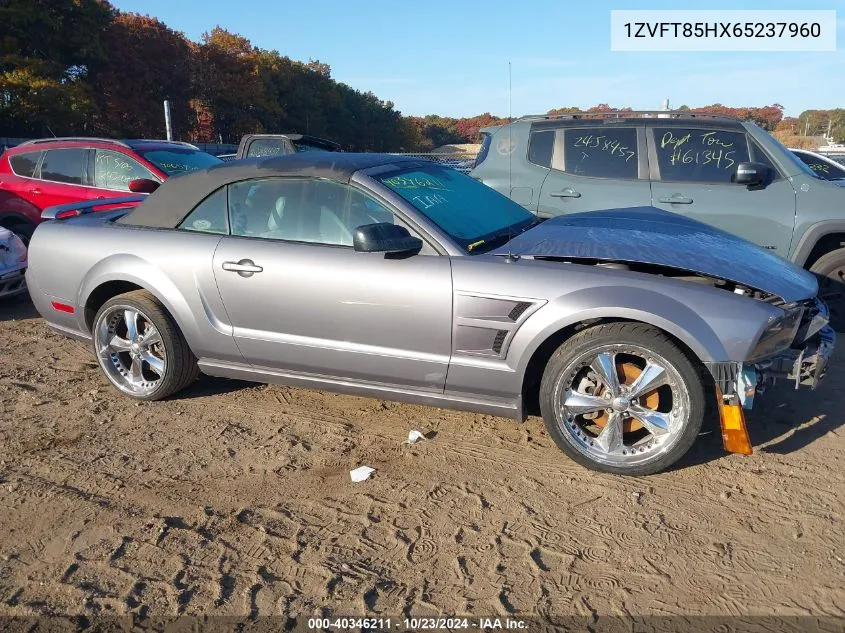 2006 Ford Mustang Gt VIN: 1ZVFT85HX65237960 Lot: 40346211