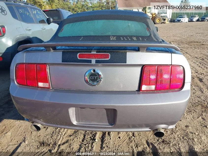 2006 Ford Mustang Gt VIN: 1ZVFT85HX65237960 Lot: 40346211