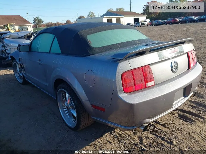 2006 Ford Mustang Gt VIN: 1ZVFT85HX65237960 Lot: 40346211