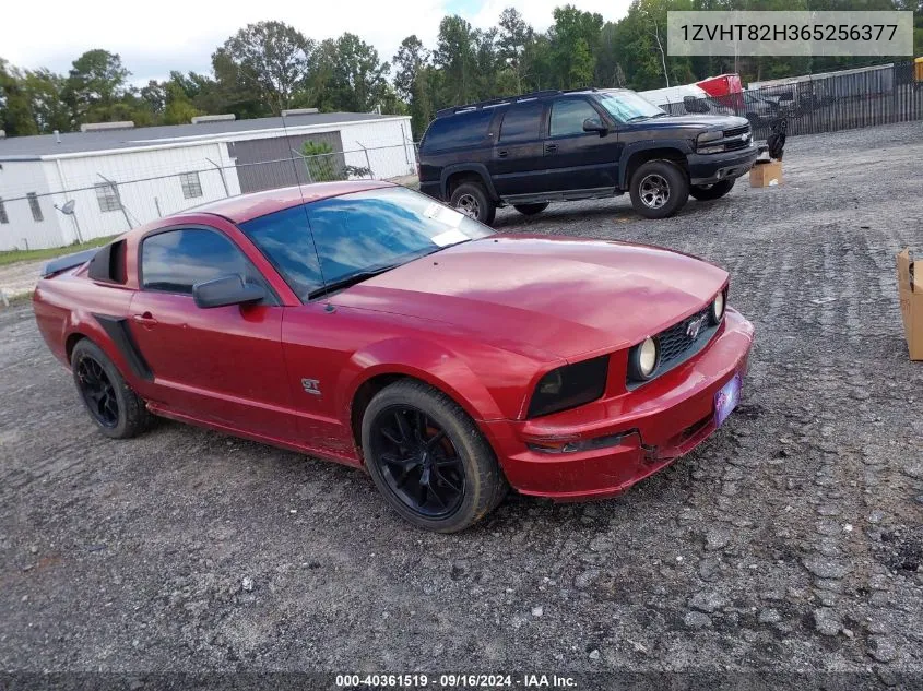 1ZVHT82H365256377 2006 Ford Mustang Gt