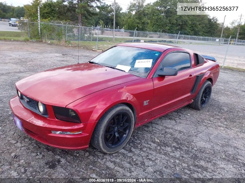 2006 Ford Mustang Gt VIN: 1ZVHT82H365256377 Lot: 40361519