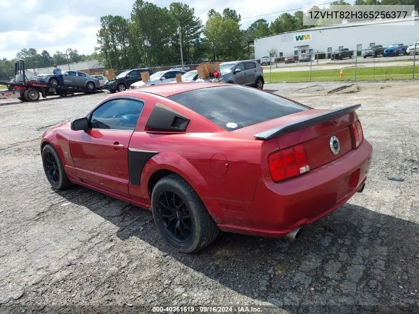 2006 Ford Mustang Gt VIN: 1ZVHT82H365256377 Lot: 40361519