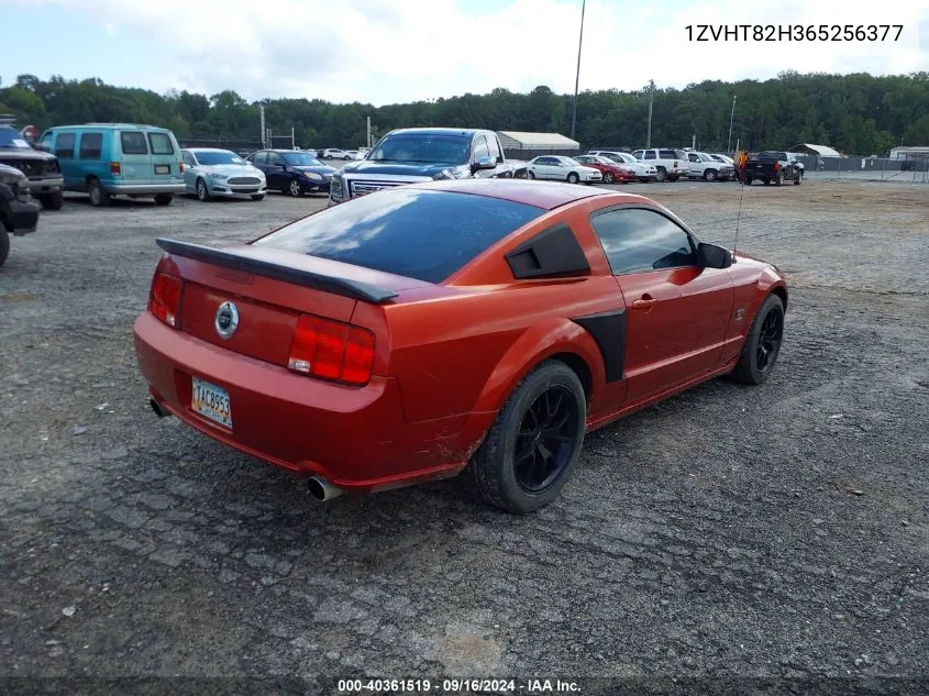 2006 Ford Mustang Gt VIN: 1ZVHT82H365256377 Lot: 40361519