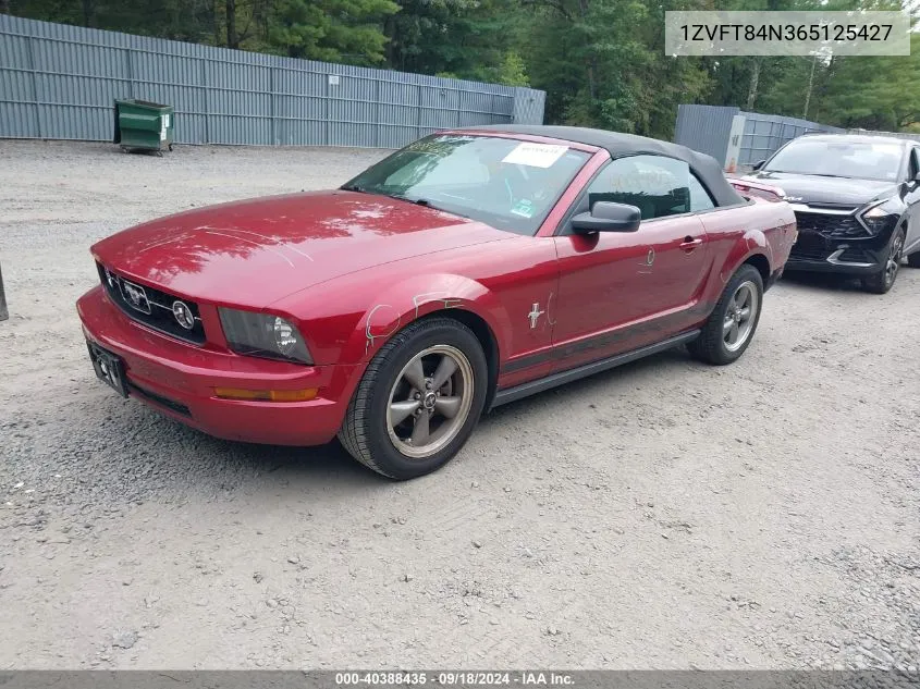 2006 Ford Mustang V6 VIN: 1ZVFT84N365125427 Lot: 40388435