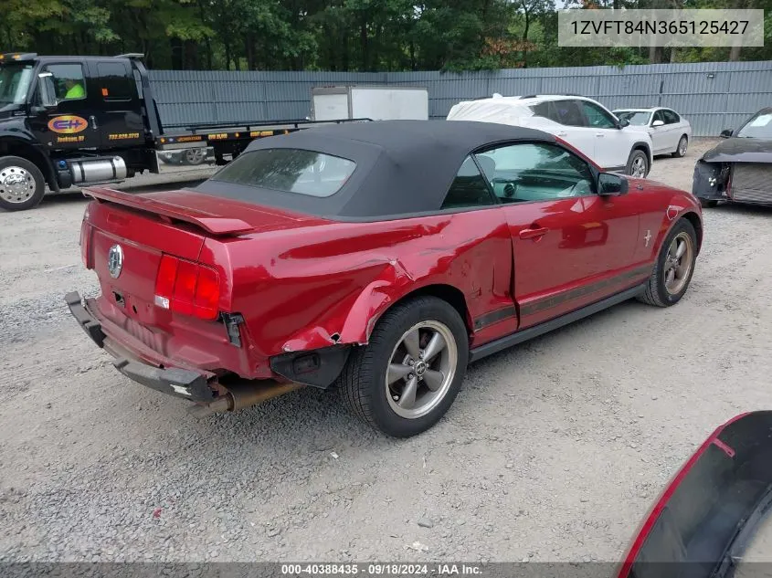 1ZVFT84N365125427 2006 Ford Mustang V6