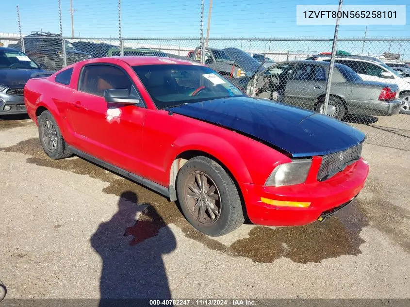 2006 Ford Mustang V6 VIN: 1ZVFT80N565258101 Lot: 40782247