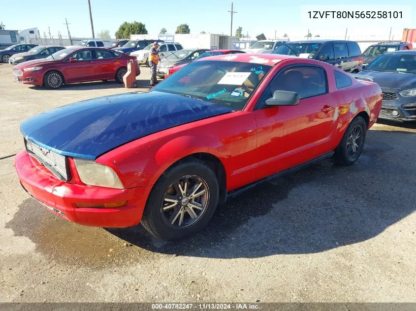 2006 Ford Mustang V6 VIN: 1ZVFT80N565258101 Lot: 40782247