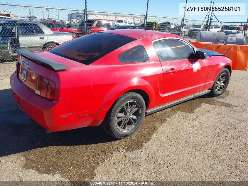 2006 Ford Mustang V6 VIN: 1ZVFT80N565258101 Lot: 40782247