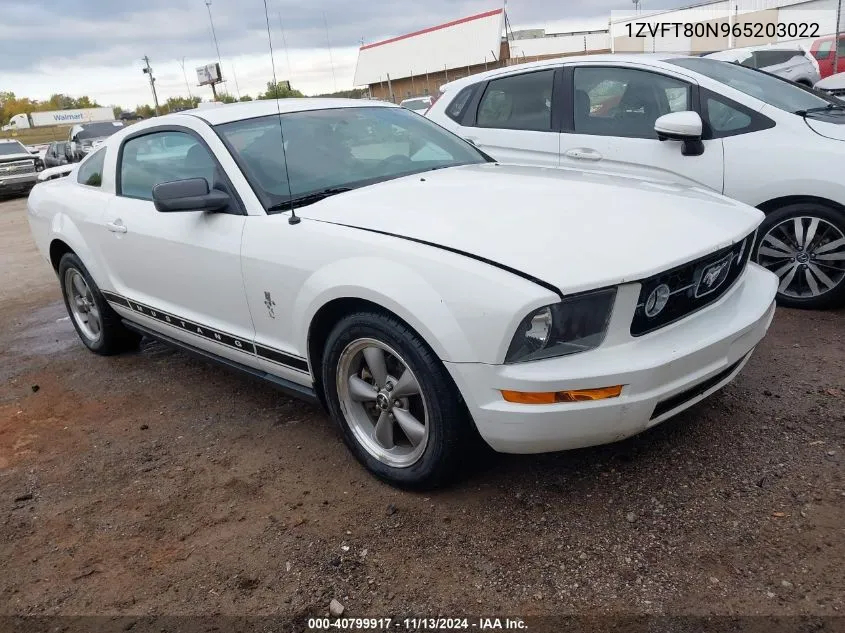 2006 Ford Mustang V6 VIN: 1ZVFT80N965203022 Lot: 40799917