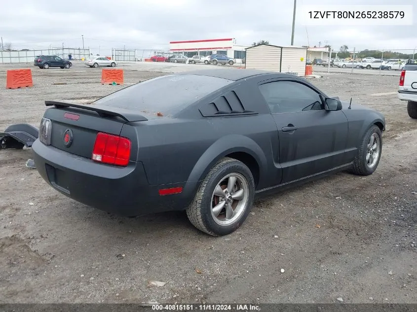 2006 Ford Mustang V6 VIN: 1ZVFT80N265238579 Lot: 40815151