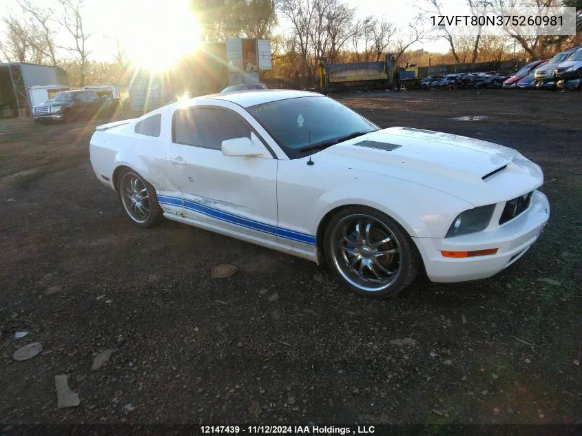 2007 Ford Mustang VIN: 1ZVFT80N375260981 Lot: 12147439