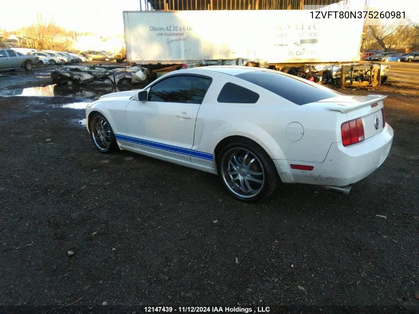 2007 Ford Mustang VIN: 1ZVFT80N375260981 Lot: 12147439