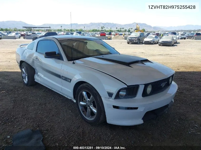 1ZVHT82H975255428 2007 Ford Mustang Gt