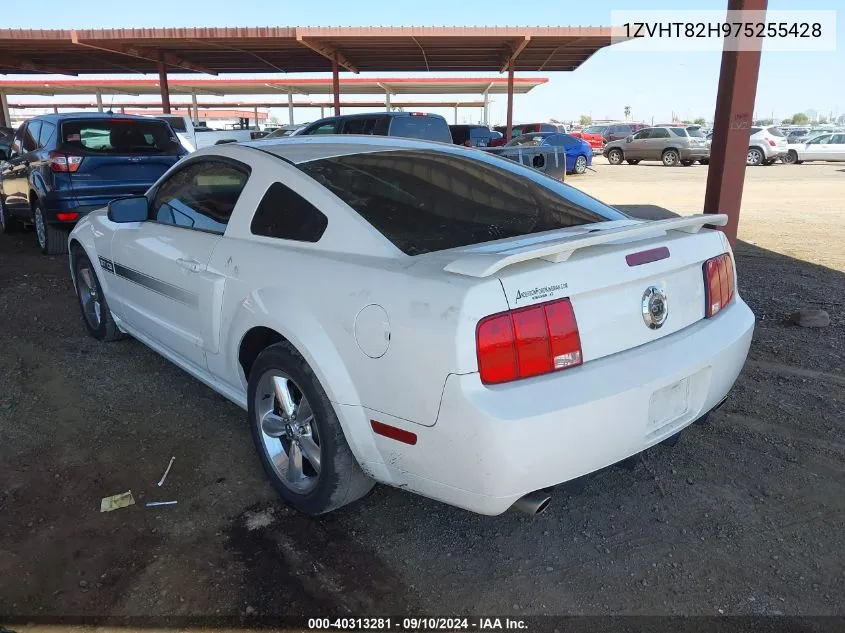 2007 Ford Mustang Gt VIN: 1ZVHT82H975255428 Lot: 40313281