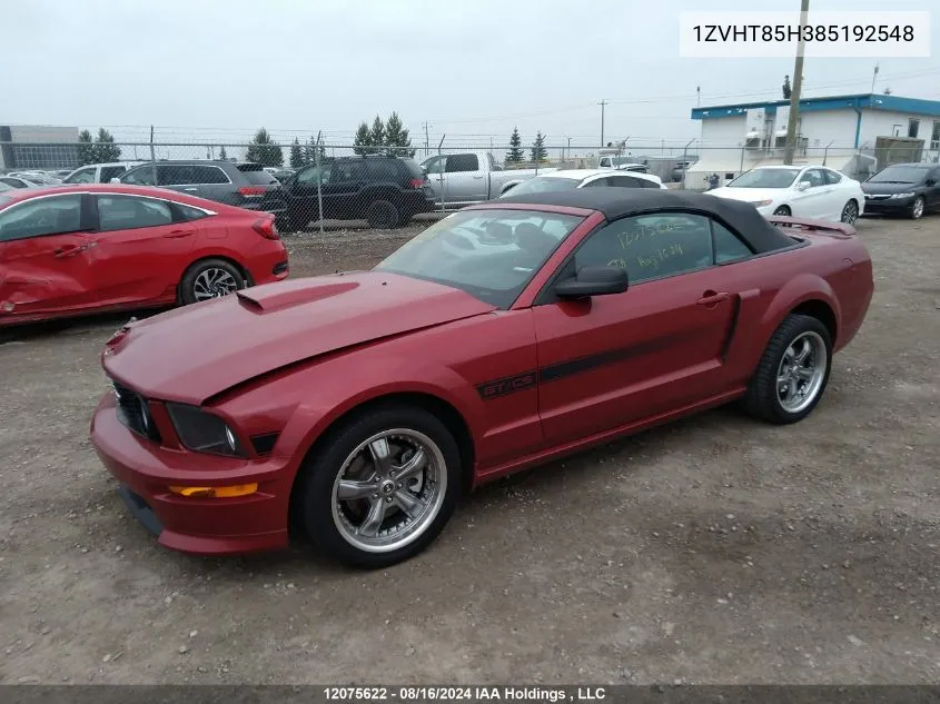 2008 Ford Mustang Gt VIN: 1ZVHT85H385192548 Lot: 12075622