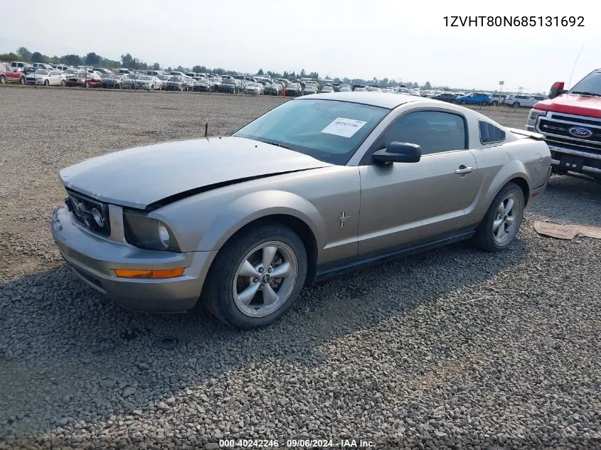 2008 Ford Mustang V6 Deluxe/V6 Premium VIN: 1ZVHT80N685131692 Lot: 40242246