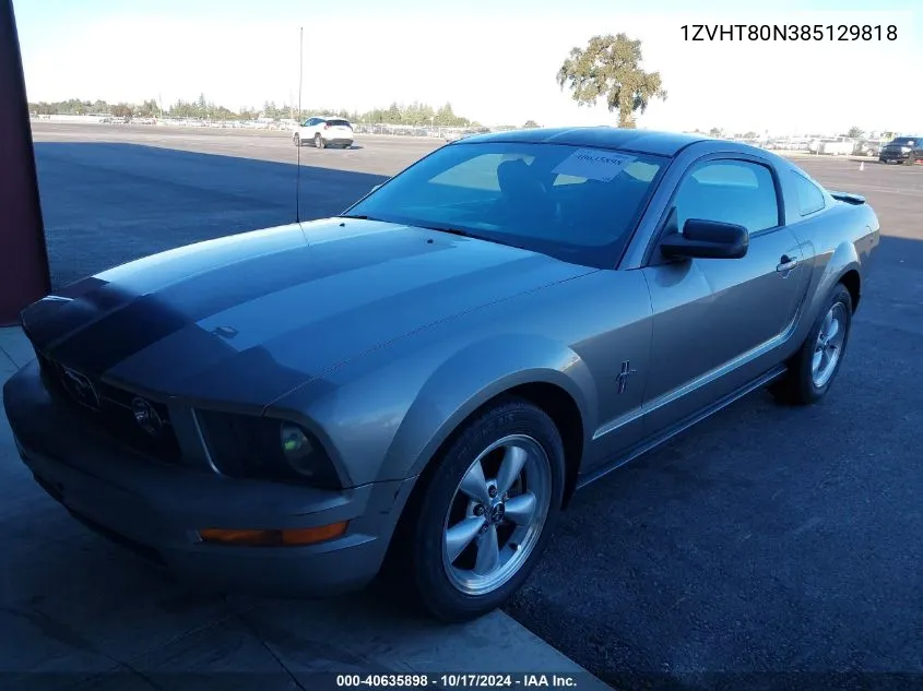 2008 Ford Mustang VIN: 1ZVHT80N385129818 Lot: 40635898