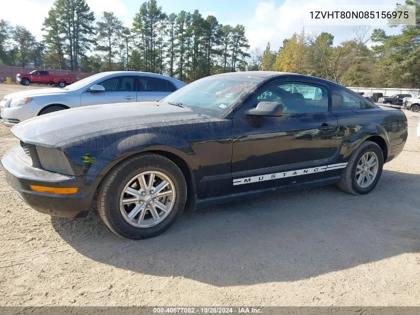 2008 Ford Mustang V6 Deluxe/V6 Premium VIN: 1ZVHT80N085156975 Lot: 40677082