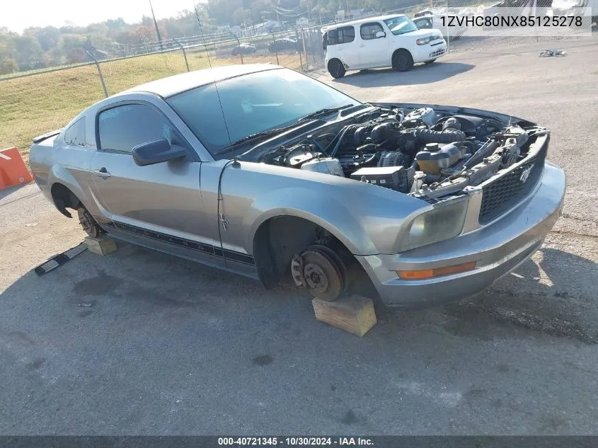 2008 Ford Mustang VIN: 1ZVHC80NX85125278 Lot: 40721345