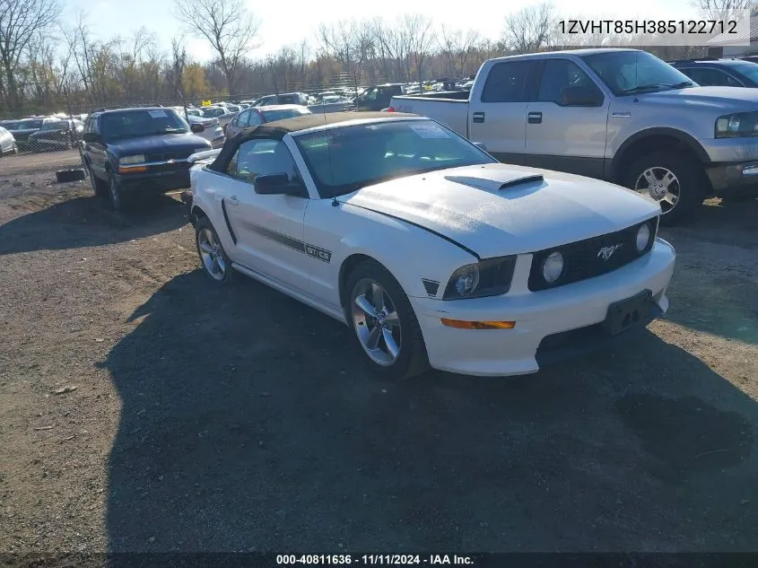 2008 Ford Mustang Gt Premium VIN: 1ZVHT85H385122712 Lot: 40811636