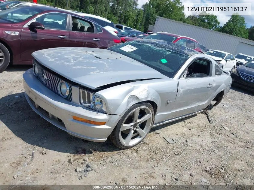 2009 Ford Mustang Gt/Gt Premium VIN: 1ZVHT82H195116137 Lot: 39429884